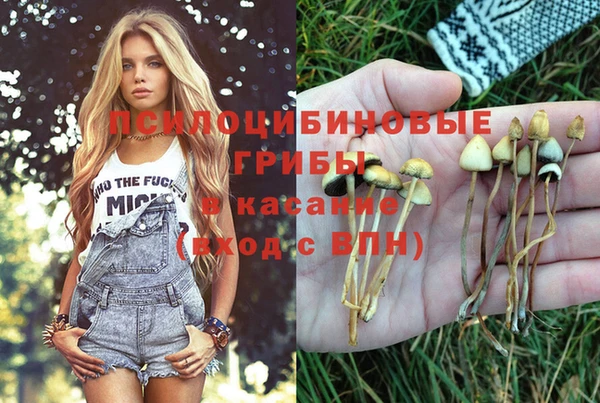 дживик Новодвинск