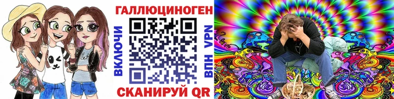 блэк спрут маркетплейс Нестеров Галлюциногенные грибы Psilocybine cubensis